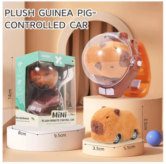 Mini Remote Control Watch Car